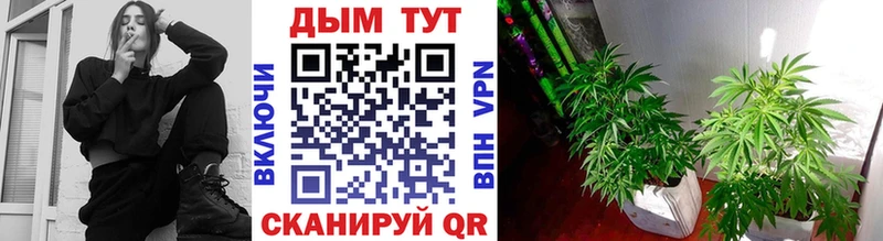 Купить наркотик Бежецк А ПВП Канабис АМФ Гашиш Меф мяу мяу