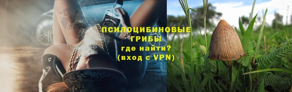 дживик Белоозёрский