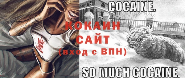 дживик Белоозёрский