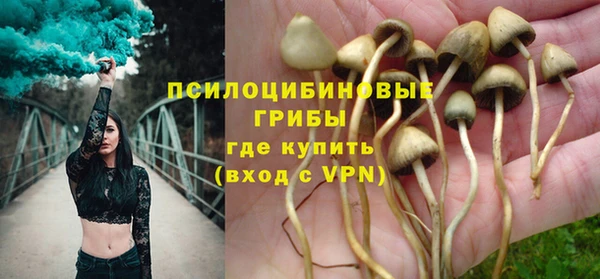 дживик Белоозёрский